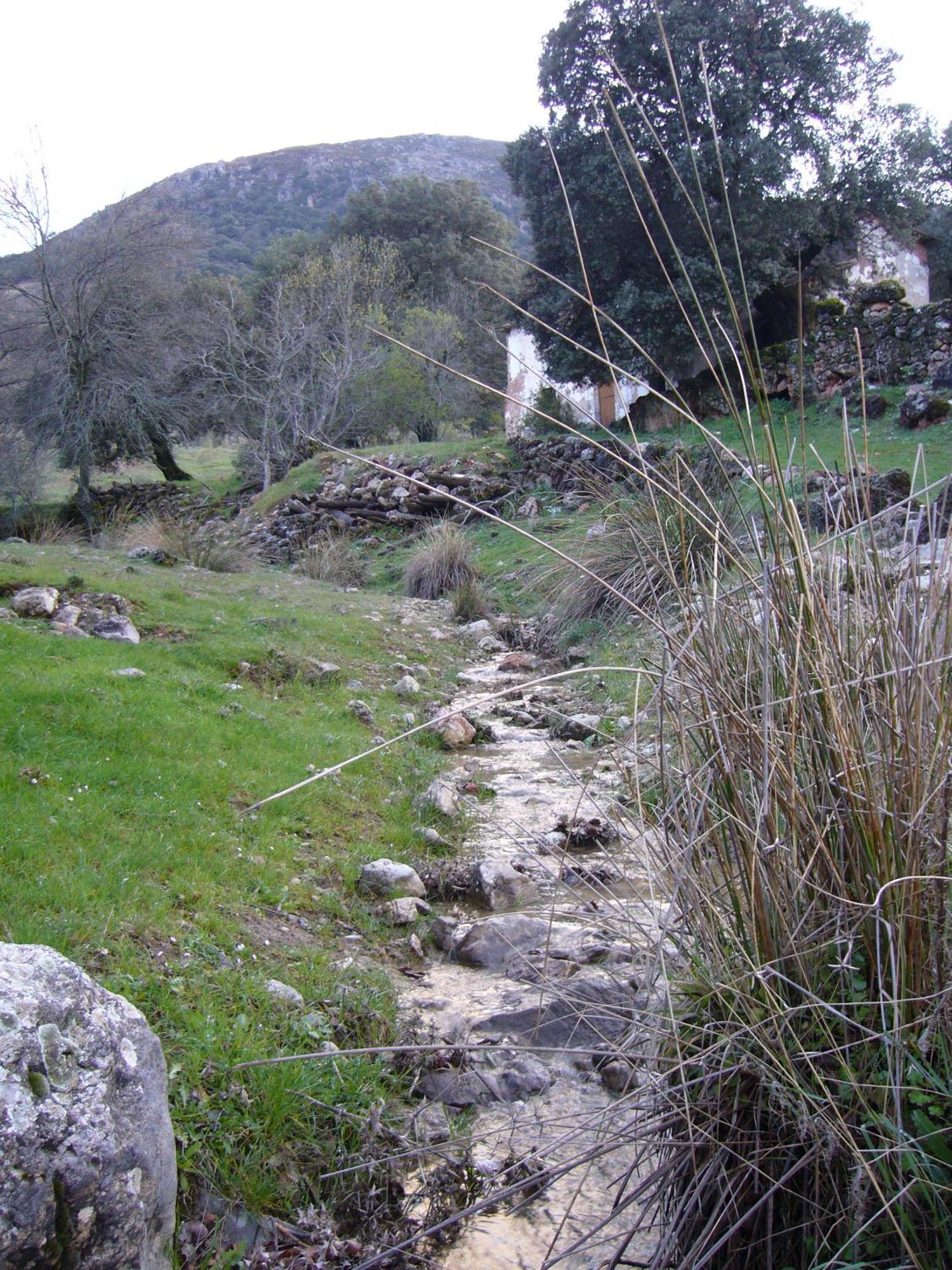 Hostal Restaurante Sierra De La Martina Чарилья Экстерьер фото